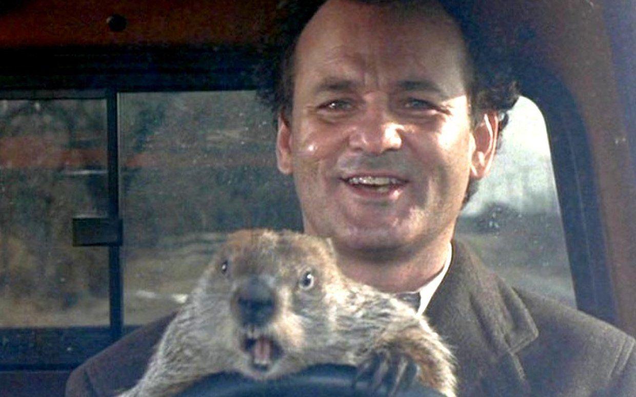 Finding Redemption Through Recurring Love In Groundhog Day Mere