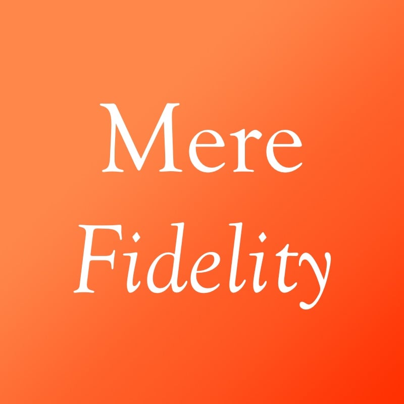 Mere-Fidelity-logo