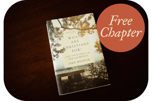 What Are Christians For - Free Chapter